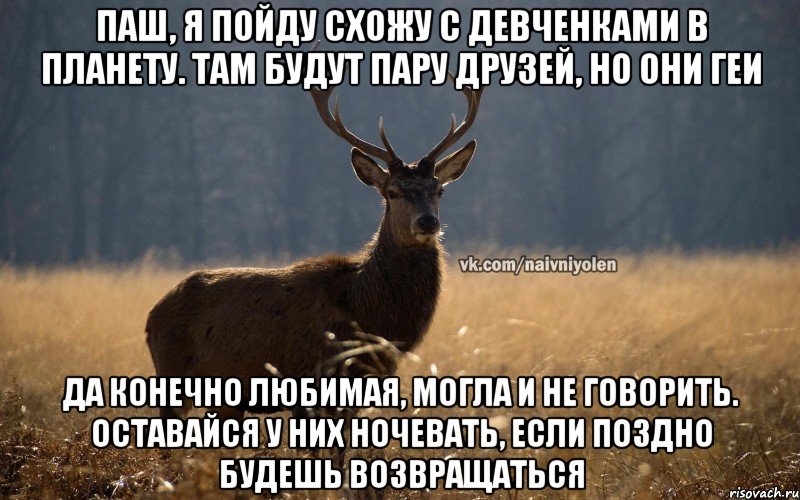 Паш, я пойду схожу с девченками в планету. Там будут пару друзей, но они геи Да конечно любимая, могла и не говорить. Оставайся у них ночевать, если поздно будешь возвращаться, Мем Наивный Олень vk2