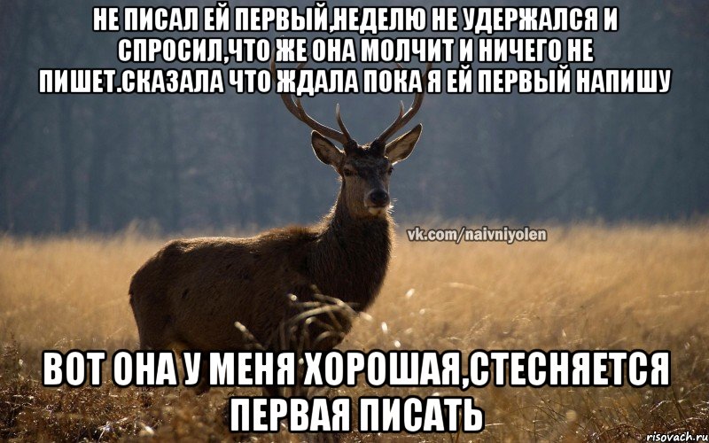 Не писал ей первый,неделю Не удержался и спросил,что же она молчит и ничего не пишет.Сказала что ждала пока я ей первый напишу Вот она у меня хорошая,стесняется первая писать, Мем Наивный Олень vk2