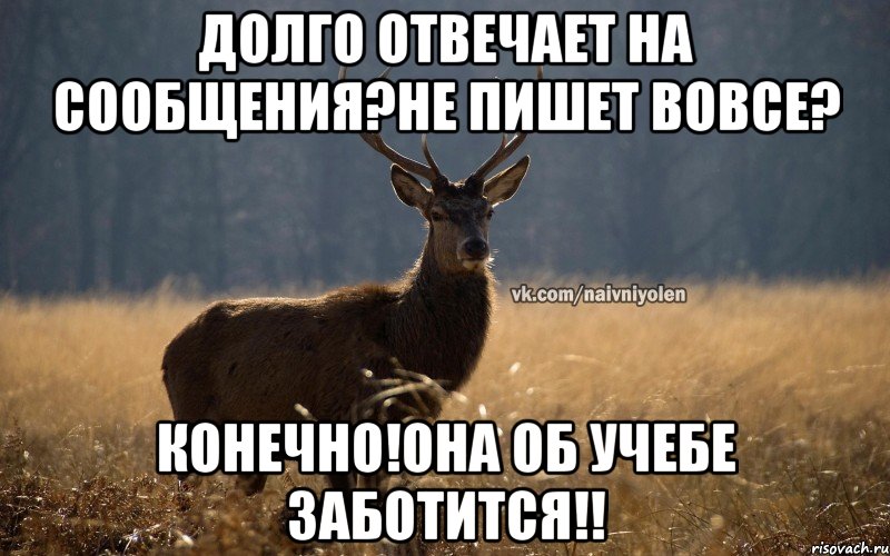 Долго отвечает на сообщения?не пишет вовсе? Конечно!она об учебе заботится!!, Мем Наивный Олень vk2