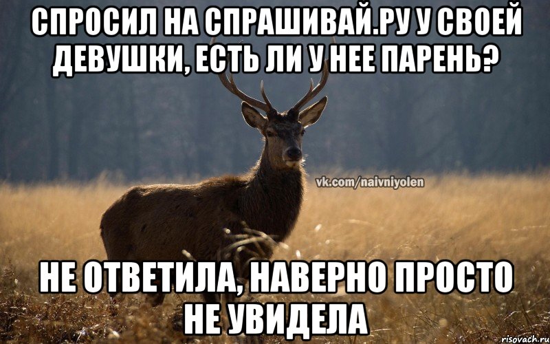 Спросил на спрашивай.ру у своей девушки, есть ли у нее парень? не ответила, наверно просто не увидела, Мем Наивный Олень vk2