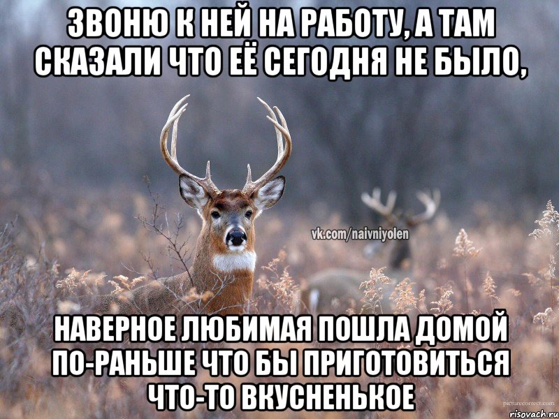 Звоню к ней на работу, а там сказали что её сегодня не было, наверное любимая пошла домой по-раньше что бы приготовиться что-то вкусненькое, Мем   Наивный олень