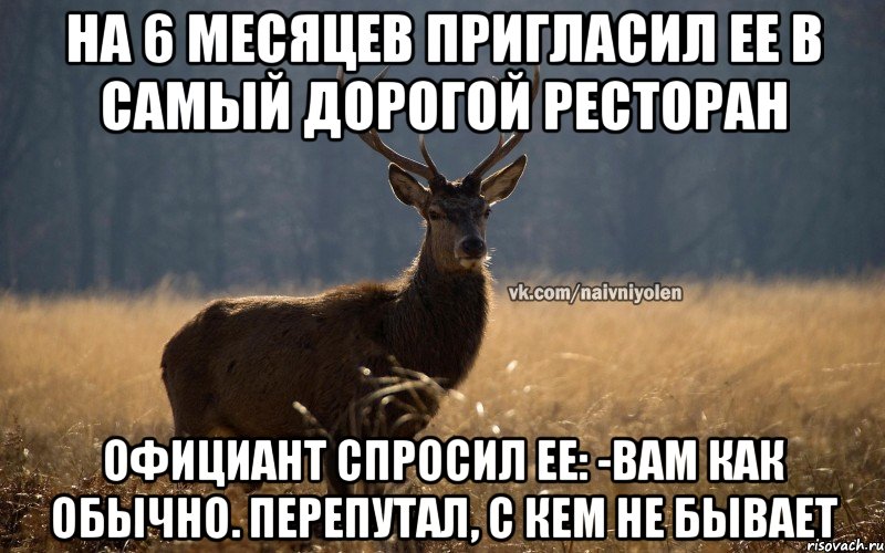 На 6 месяцев пригласил ее в самый дорогой ресторан Официант спросил ее: -вам как обычно. Перепутал, с кем не бывает, Мем Наивный Олень vk2