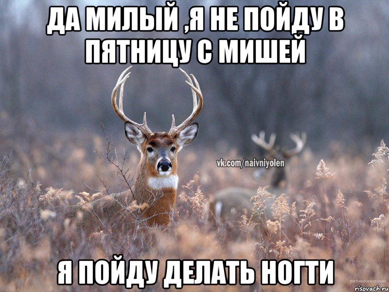 да милый ,я не пойду в пятницу с Мишей я пойду делать ногти