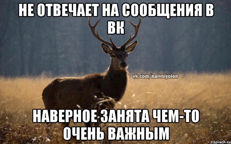 Не отвечает на сообщения в вк Наверное занята чем-то очень важным, Мем Наивный Олень vk2