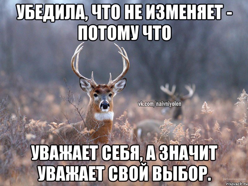 Убедила, что не изменяет - потому что уважает себя, а значит уважает свой выбор., Мем   Наивный олень