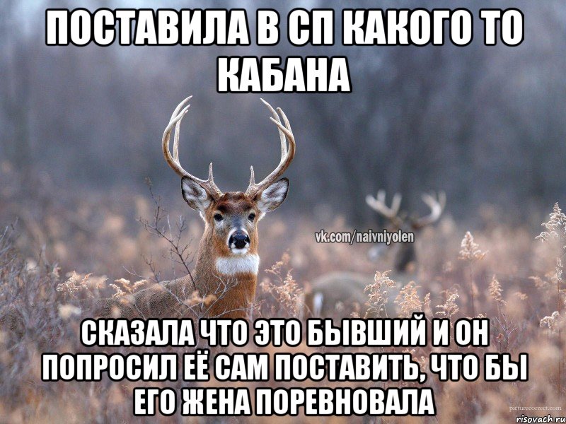 поставила в СП какого то кабана сказала что это бывший и он попросил её сам поставить, что бы его жена поревновала, Мем   Наивный олень