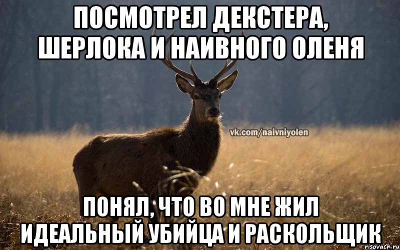 посмотрел Декстера, Шерлока и Наивного Оленя понял, что во мне жил идеальный убийца и раскольщик, Мем Наивный Олень vk2