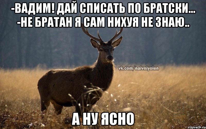 -Вадим! Дай списать по братски... -Не братан я сам нихуя не знаю.. А НУ ЯСНО, Мем Наивный Олень vk2