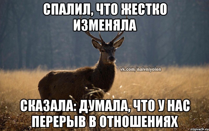 Спалил, что жестко изменяла Сказала: думала, что у нас перерыв в отношениях, Мем Наивный Олень vk2