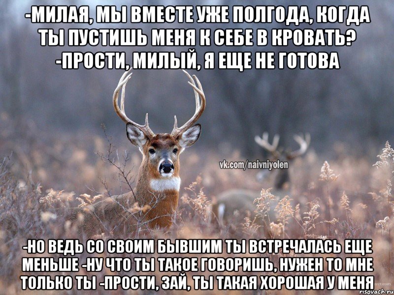 -Милая, мы вместе уже полгода, когда ты пустишь меня к себе в кровать? -Прости, милый, я еще не готова -Но ведь со своим бывшим ты встречалась еще меньше -Ну что ты такое говоришь, нужен то мне только ты -Прости, зай, ты такая хорошая у меня