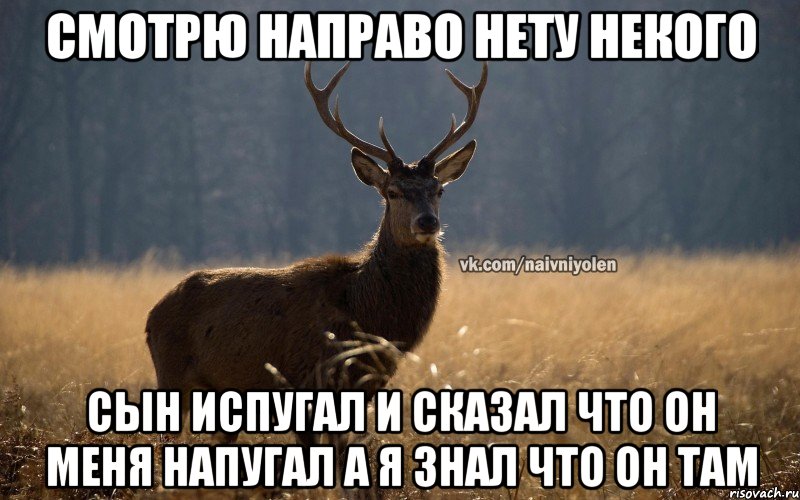 Смотрю Направо Нету некого Сын испугал и сказал что он меня напугал а я Знал что он там, Мем Наивный Олень vk2