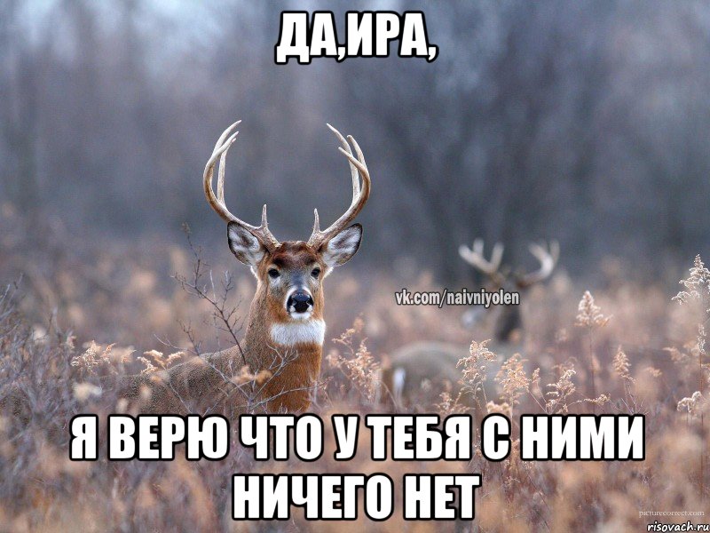 Да,ИРА, Я верю что у тебя с ними ничего нет, Мем   Наивный олень