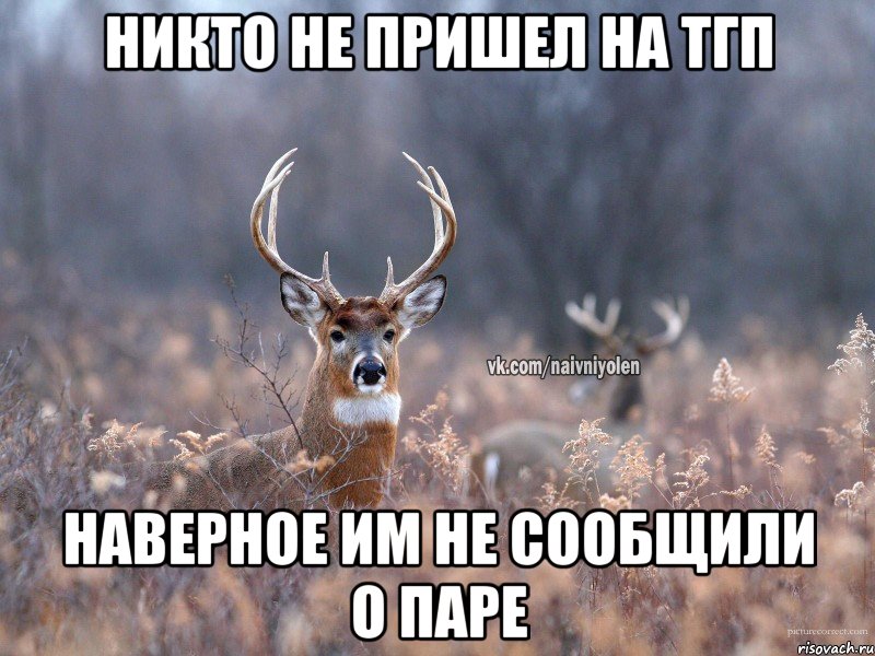 Никто не пришел на ТГП наверное им не сообщили о паре