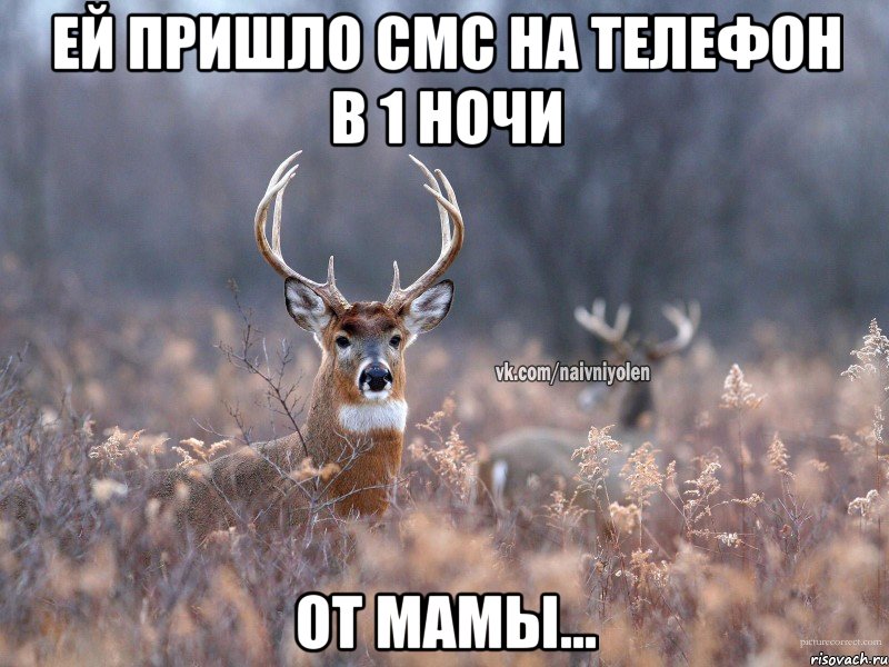 Ей пришло смс на телефон в 1 ночи от Мамы...