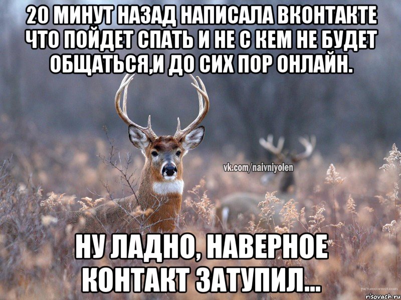 20 минут назад написала вконтакте что пойдет спать и не с кем не будет общаться,и до сих пор онлайн. Ну ладно, наверное контакт затупил..., Мем   Наивный олень