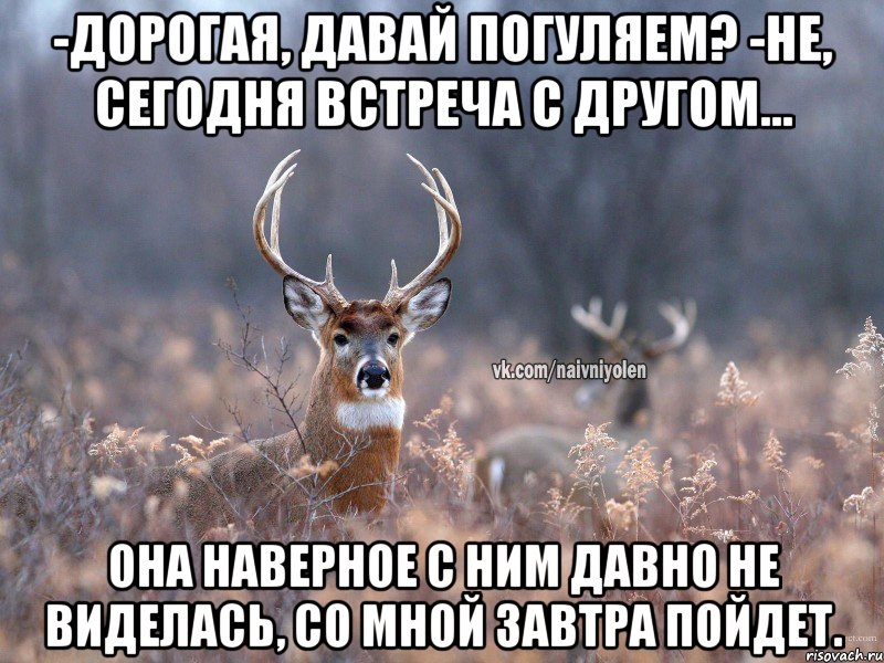 -дорогая, давай погуляем? -не, сегодня встреча с другом... она наверное с ним давно не виделась, со мной завтра пойдет.