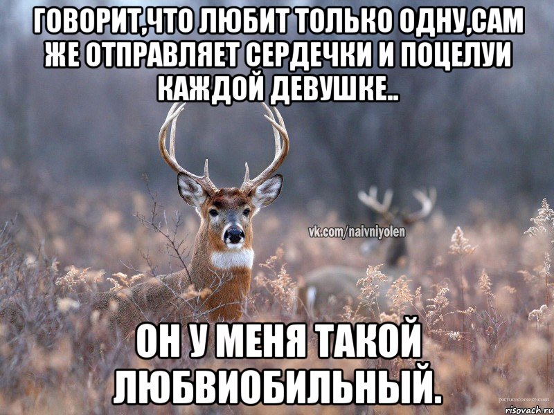 Говорит,что любит только одну,сам же отправляет сердечки и поцелуи каждой девушке.. Он у меня такой любвиобильный.