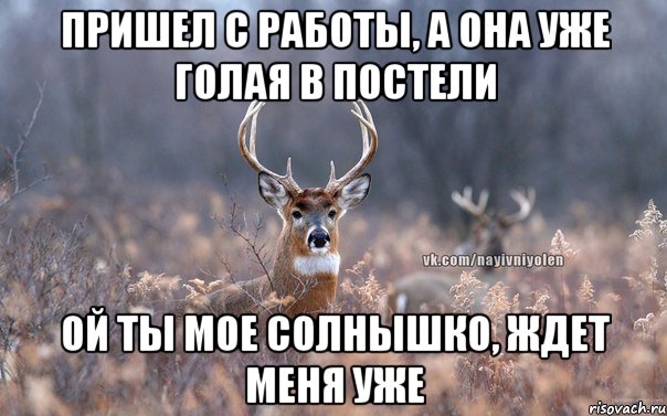 пришел с работы, а она уже голая в постели Ой ты мое солнышко, ждет меня уже