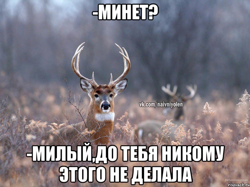 -минет? -милый,до тебя никому этого не делала