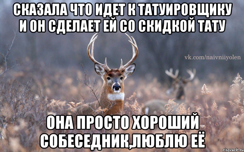 Сказала что идет к татуировщику и он сделает ей со скидкой тату она просто хороший собеседник,люблю её, Мем   Наивный олень