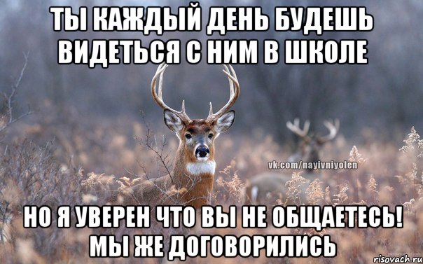 ты каждый день будешь видеться с ним в школе но я уверен что вы не общаетесь! мы же договорились, Мем   Наивный олень