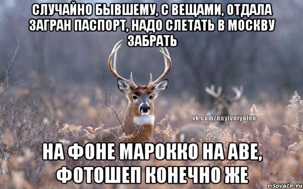 Случайно бывшему, с вещами, отдала загран паспорт, надо слетать в Москву забрать на фоне Марокко на аве, фотошеп конечно же, Мем   Наивный олень