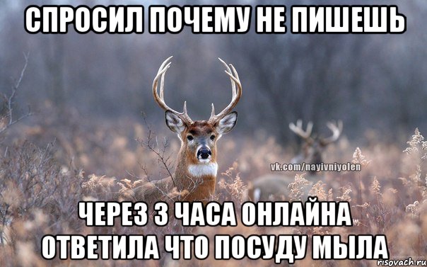 Спросил почему не пишешь Через 3 часа онлайна ответила что посуду мыла, Мем   Наивный олень