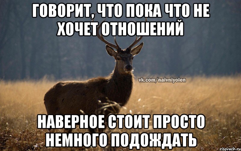 Говорит, что пока что не хочет отношений Наверное стоит просто немного подождать, Мем Наивный Олень vk2