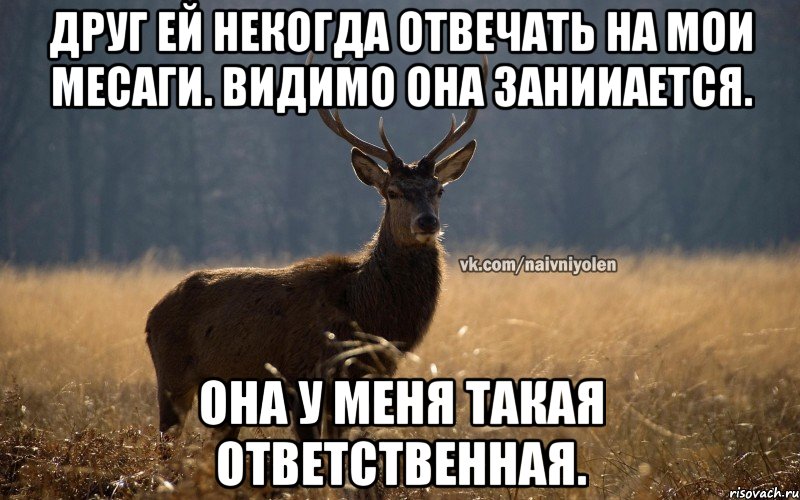 Друг Ей некогда отвечать на мои месаги. Видимо она занииается. Она у меня такая ответственная., Мем Наивный Олень vk2