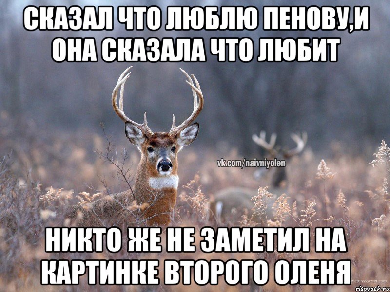 Сказал что люблю Пенову,и она сказала что любит никто же не заметил на картинке второго Оленя, Мем   Наивный олень