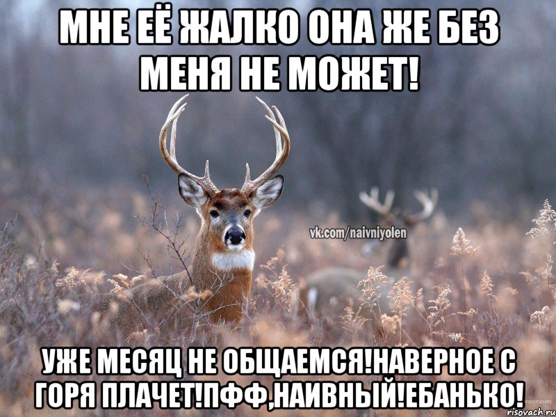 Мне её жалко она же без меня не может! Уже месяц не общаемся!Наверное с горя плачет!Пфф,НаИвНыЙ!Ебанько!, Мем   Наивный олень