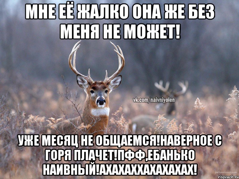 Мне её жалко она же без меня не может! Уже месяц не общаемся!Наверное с горя плачет!Пфф,ЕБАНЬКО НАИВНЫЙ!АХАХАХХАХАХАХАХ!, Мем   Наивный олень