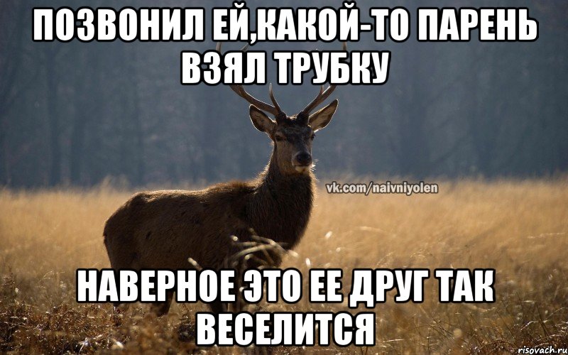 Позвонил ей,какой-то парень взял трубку Наверное это ее друг так веселится, Мем Наивный Олень vk2