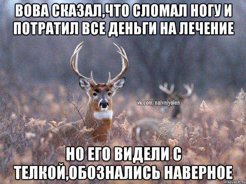 Вова сказал,что сломал ногу и потратил все деньги на лечение но его видели с телкой,обознались наверное, Мем   Наивный олень