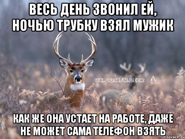 весь день звонил ей, ночью трубку взял мужик как же она устает на работе, даже не может сама телефон взять, Мем   Наивный олень