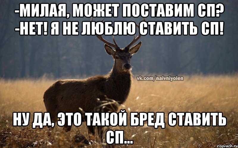 -милая, может поставим СП? -нет! Я не люблю ставить СП! Ну да, это такой бред ставить СП..., Мем Наивный Олень vk2