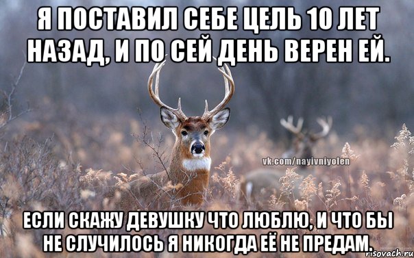 Я поставил себе цель 10 лет назад, и по сей день верен ей. Если скажу девушку что люблю, и что бы не случилось я никогда её не предам., Мем   Наивный олень