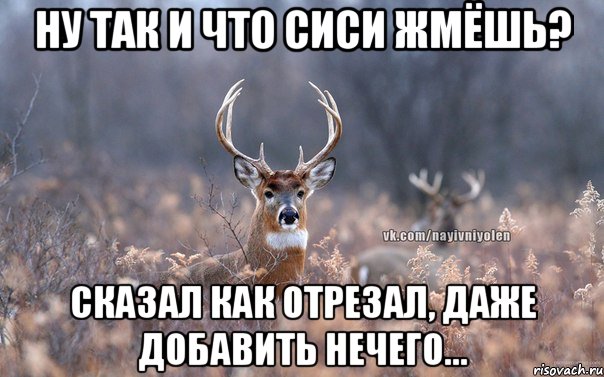 ну так и что сиси жмёшь? Сказал как отрезал, даже добавить нечего..., Мем   Наивный олень