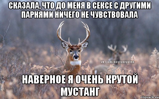 Сказала, что до меня в сексе с другими парнями ничего не чувствовала Наверное я очень крутой мустанг