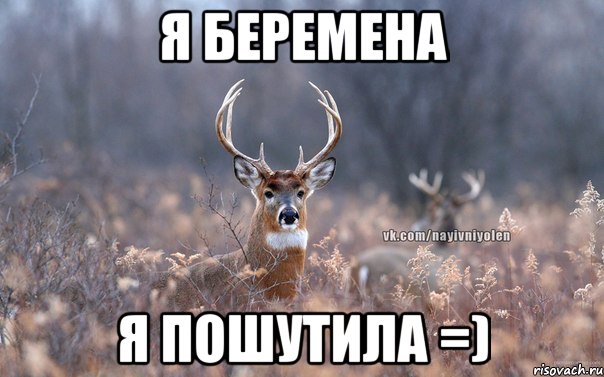 Я беремена Я пошутила =), Мем   Наивный олень