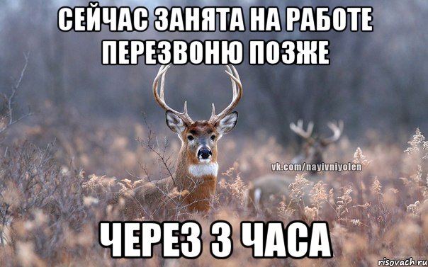 сейчас занята на работе перезвоню позже через 3 часа, Мем   Наивный олень