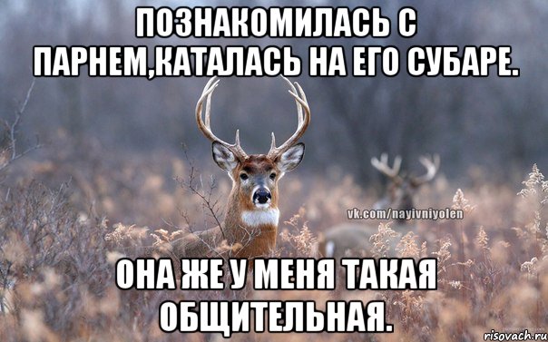 Познакомилась с парнем,каталась на его субаре. Она же у меня такая общительная., Мем   Наивный олень