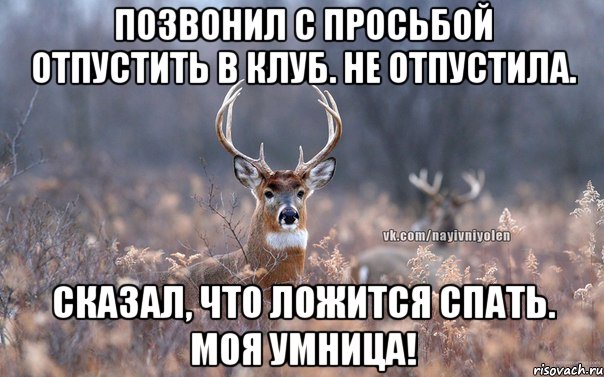 Позвонил с просьбой отпустить в клуб. Не отпустила. Сказал, что ложится спать. Моя умница!, Мем   Наивный олень