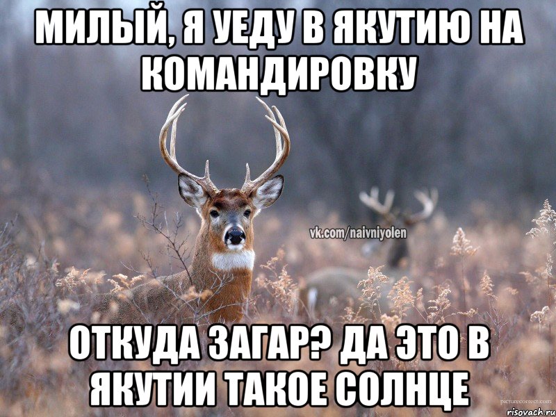 Милый, я уеду в Якутию на командировку Откуда загар? Да это в Якутии такое солнце