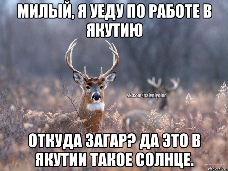 Милый, я уеду по работе в Якутию Откуда загар? Да это в Якутии такое солнце., Мем   Наивный олень