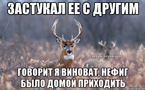 Застукал ее с другим говорит я виноват, нефиг было домой приходить, Мем   Наивный олень