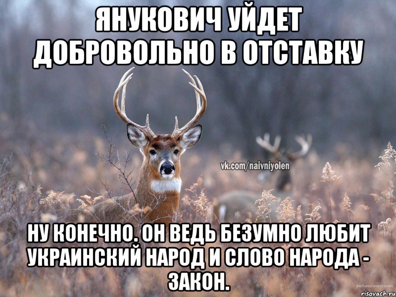 Янукович уйдет добровольно в отставку Ну конечно. Он ведь безумно любит украинский народ и слово народа - закон., Мем   Наивный олень