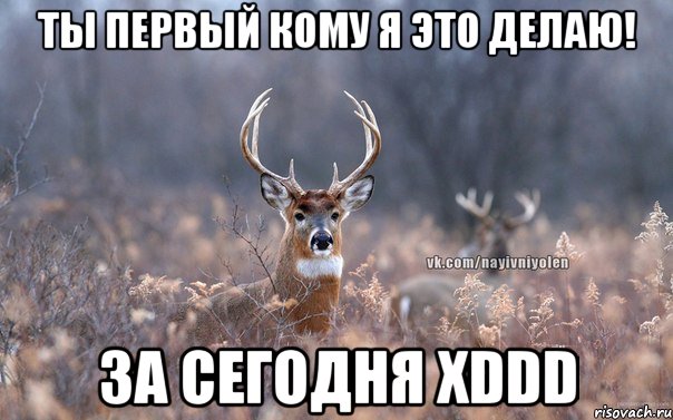 ты первый кому я это делаю! за сегодня XDDD, Мем   Наивный олень