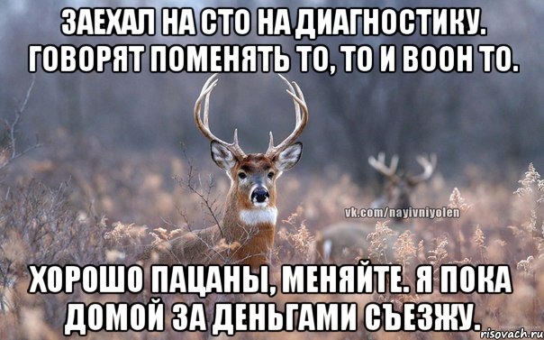 Заехал на СТО на диагностику. Говорят поменять то, то и воон то. Хорошо пацаны, меняйте. Я пока домой за деньгами съезжу., Мем   Наивный олень