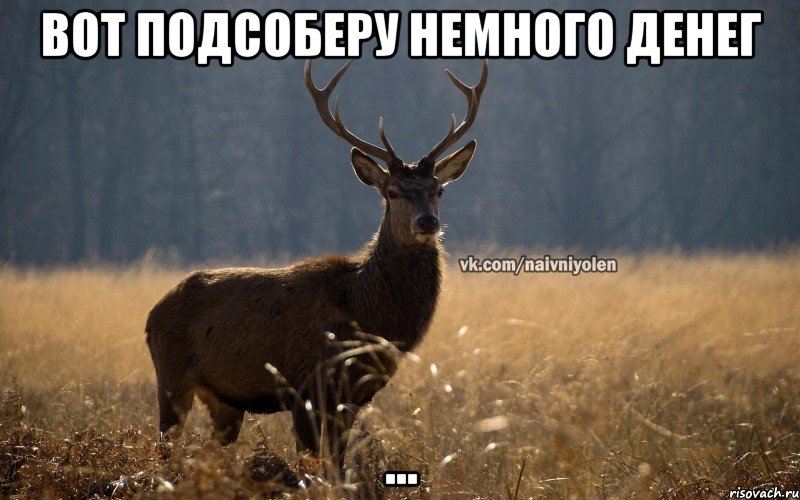 вот подсоберу немного денег ...